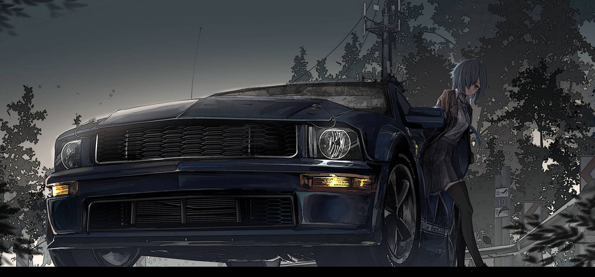 Professional Mustang Background