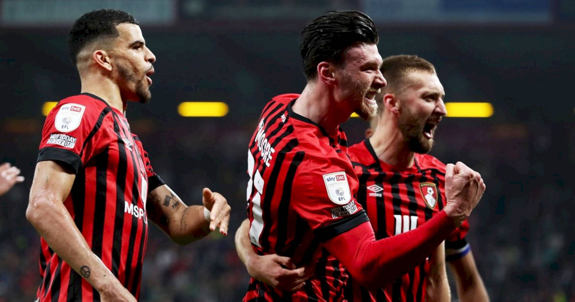 Sports Collection #14