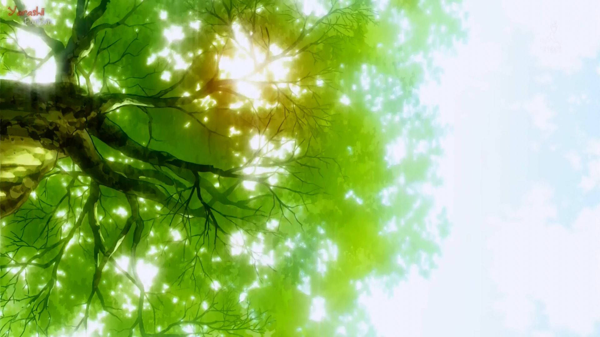 Stunning Tree With Bright Light Of Sun Green Anime Aesthetic Background Image